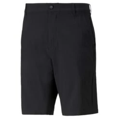 Puma Men's 2022 101 South Short